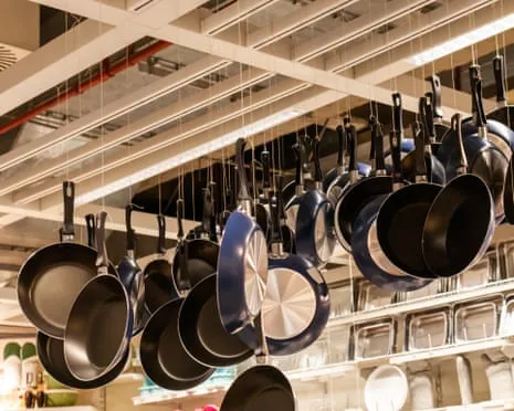 Non-Stick Eating, Garlic Milk and Striped Cattle Excel at 2025 Alternative Science Honors